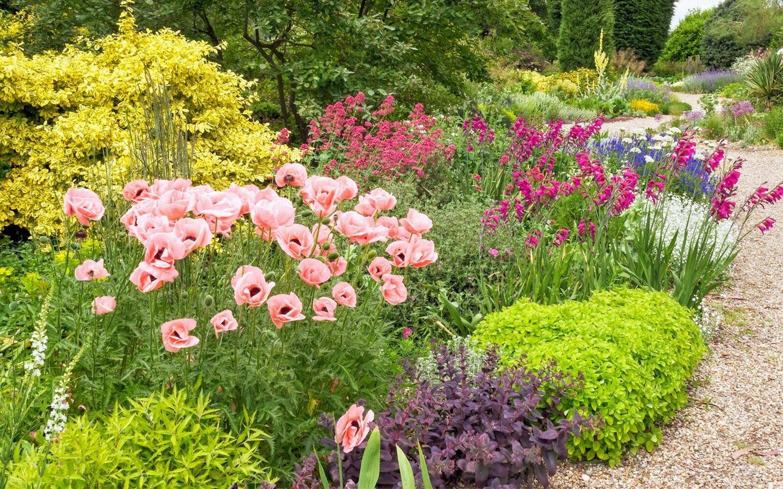 Lush Garden With Automatic Irrigation System Installed